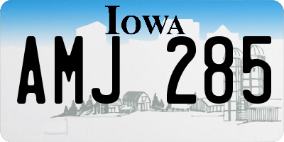 IA license plate AMJ285