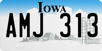 IA license plate AMJ313