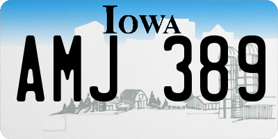 IA license plate AMJ389
