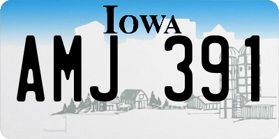 IA license plate AMJ391