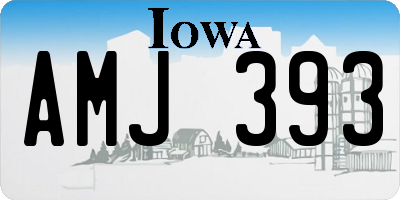 IA license plate AMJ393