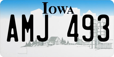 IA license plate AMJ493