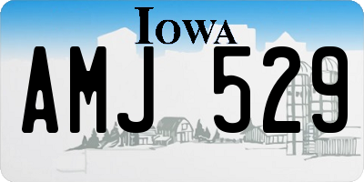 IA license plate AMJ529