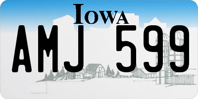 IA license plate AMJ599