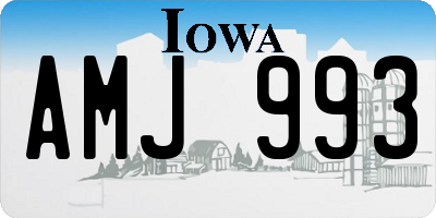 IA license plate AMJ993