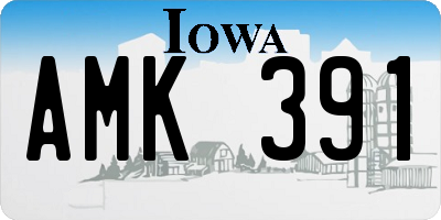 IA license plate AMK391