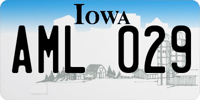 IA license plate AML029