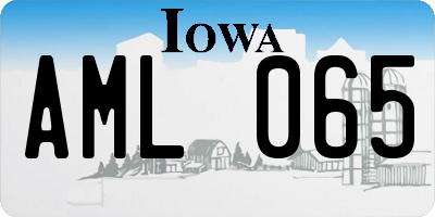 IA license plate AML065