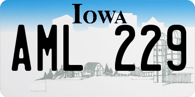 IA license plate AML229