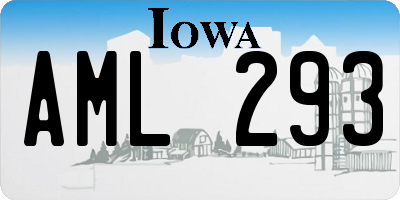 IA license plate AML293