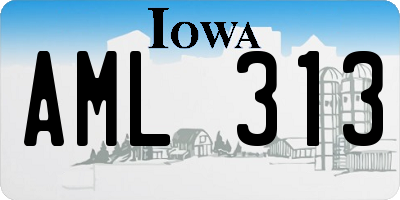 IA license plate AML313