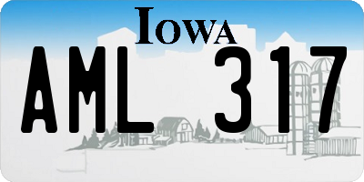 IA license plate AML317