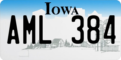 IA license plate AML384