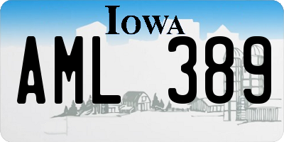 IA license plate AML389