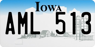 IA license plate AML513