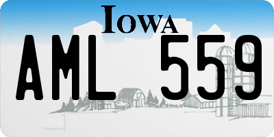 IA license plate AML559