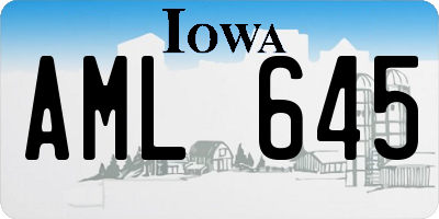IA license plate AML645