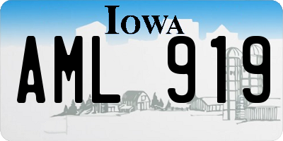 IA license plate AML919