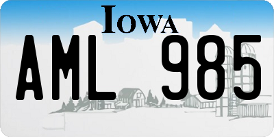 IA license plate AML985