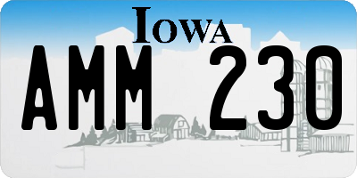 IA license plate AMM230