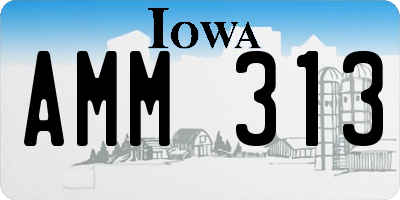 IA license plate AMM313