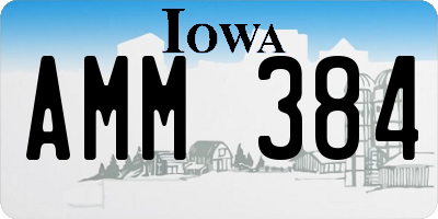 IA license plate AMM384
