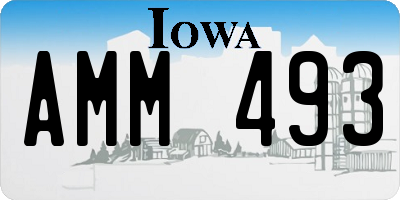 IA license plate AMM493