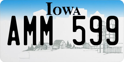 IA license plate AMM599