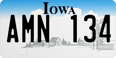 IA license plate AMN134