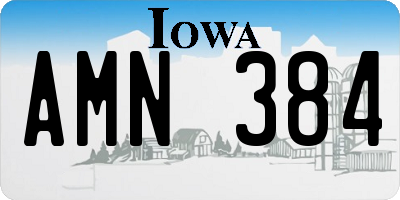 IA license plate AMN384