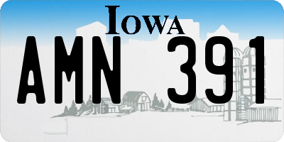 IA license plate AMN391