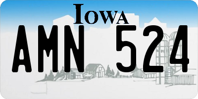 IA license plate AMN524