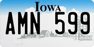 IA license plate AMN599
