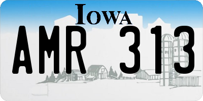 IA license plate AMR313