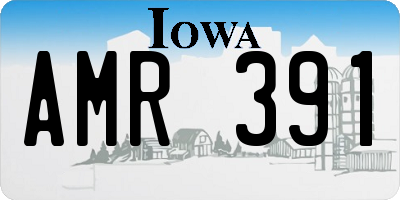 IA license plate AMR391