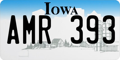 IA license plate AMR393