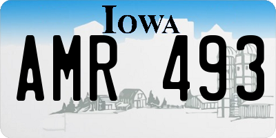 IA license plate AMR493