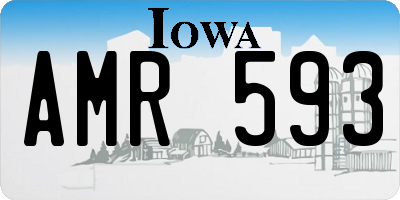 IA license plate AMR593