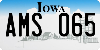 IA license plate AMS065