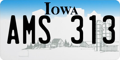 IA license plate AMS313