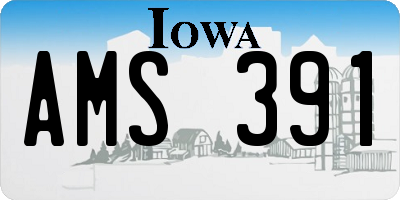 IA license plate AMS391