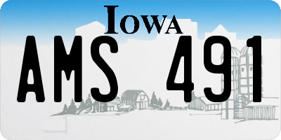 IA license plate AMS491