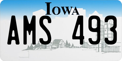 IA license plate AMS493