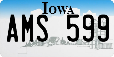 IA license plate AMS599