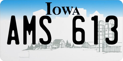 IA license plate AMS613
