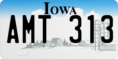 IA license plate AMT313
