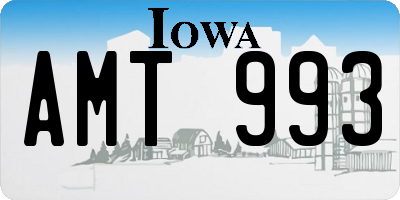 IA license plate AMT993