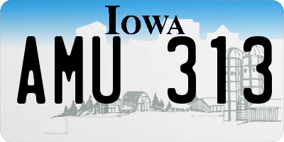 IA license plate AMU313