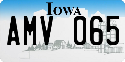 IA license plate AMV065