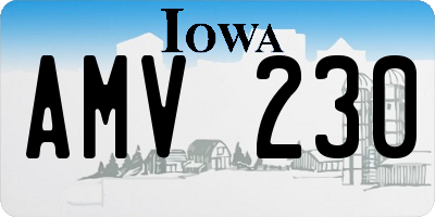 IA license plate AMV230